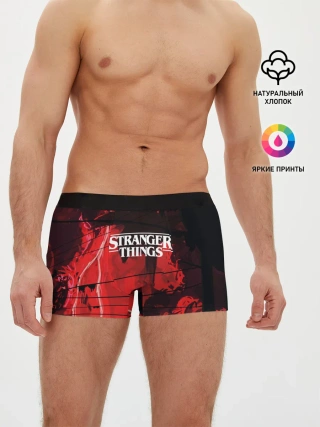 Мужские трусы боксеры / Очень странные дела 2019