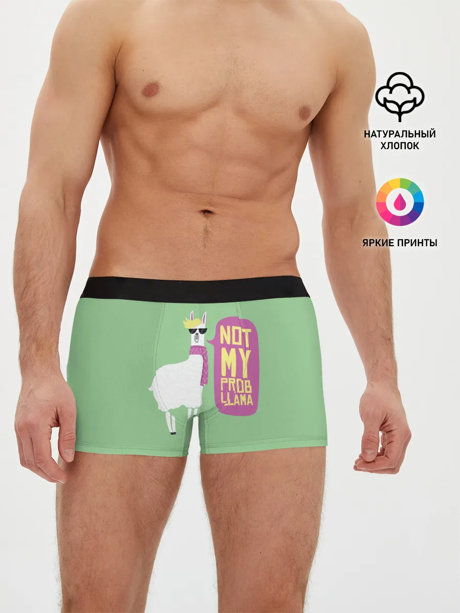 Мужские трусы боксеры / Лама