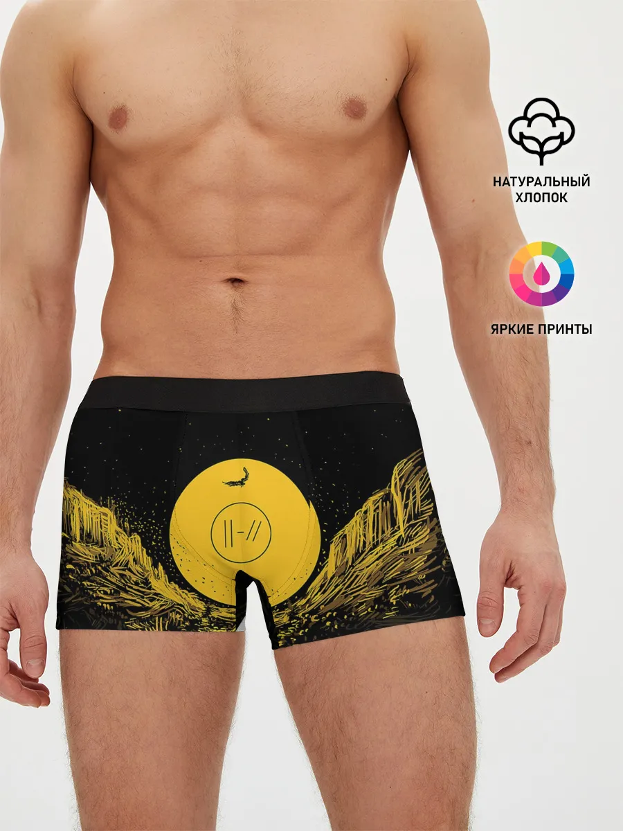 Мужские трусы боксеры / Twenty One Pilots