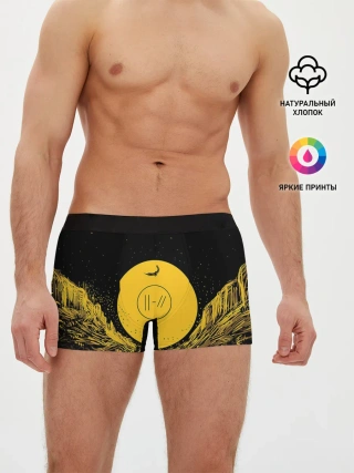 Мужские трусы боксеры / Twenty One Pilots