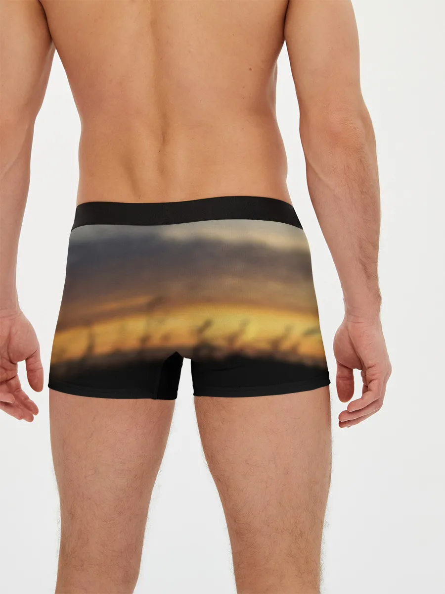 Мужские трусы боксеры / Бамблби и Чарли на закате
