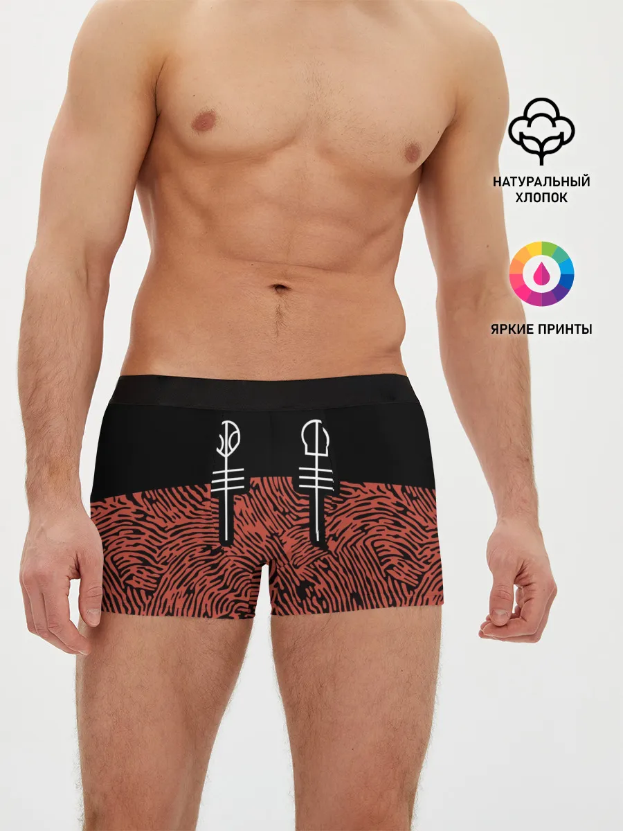 Мужские трусы боксеры / Twenty One Pilots - Blurryface