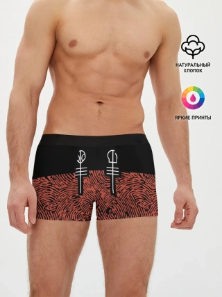 Мужские трусы боксеры / Twenty One Pilots - Blurryface