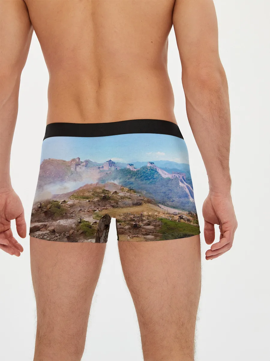 Мужские трусы боксеры / Танки