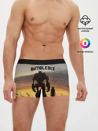 Мужские трусы боксеры / BUMBLEBEE