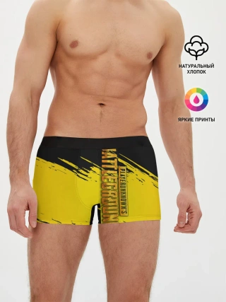 Мужские трусы боксеры / PUBG