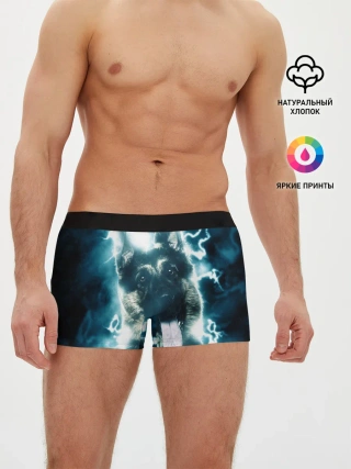 Мужские трусы боксеры / Немецкая овчарка