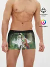 Мужские трусы боксеры / The Rising of the Shield Hero