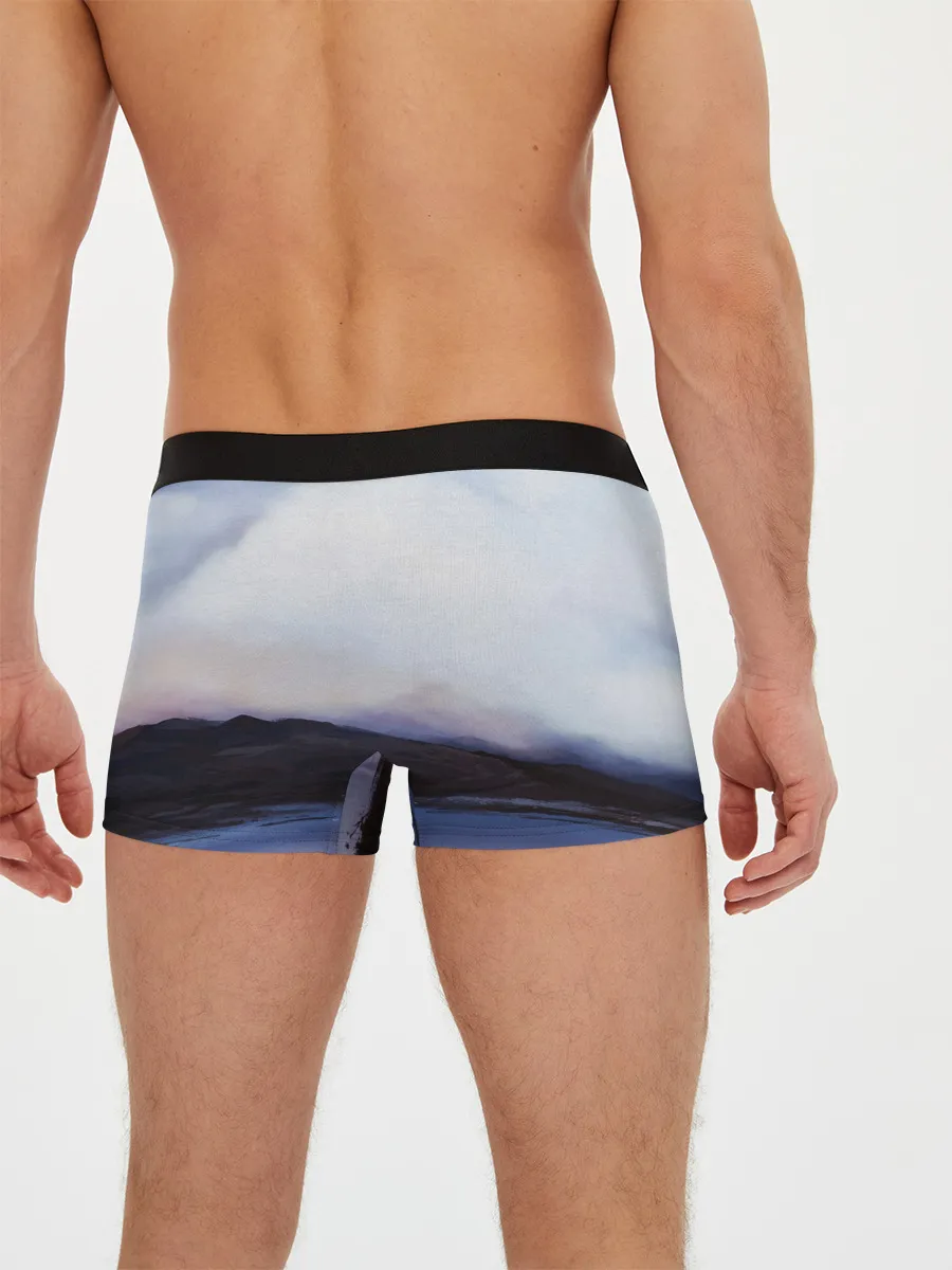 Мужские трусы боксеры / DEATH STRANDING