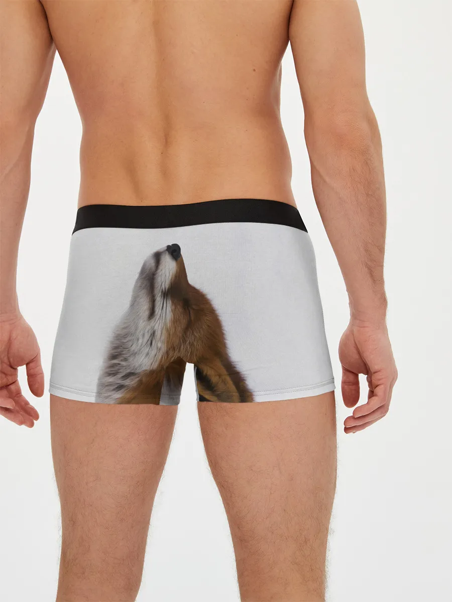 Мужские трусы боксеры / Лиса Главное фыр-фыр