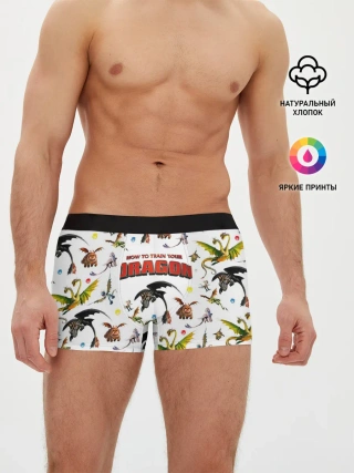 Мужские трусы боксеры / Как приручить дракона