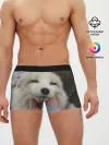 Мужские трусы боксеры / Лисенок