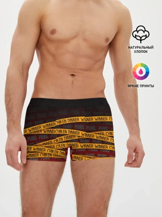 Мужские трусы боксеры / PUBG