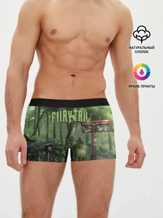 Мужские трусы боксеры / Фейри Тейл лес