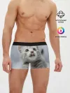 Мужские трусы боксеры / Котенок