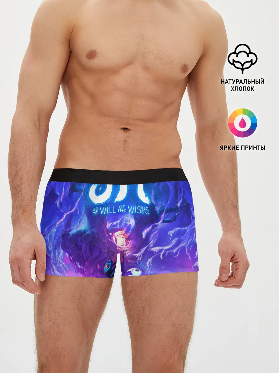 Мужские трусы боксеры / Ori - And The Will Of The Wisp