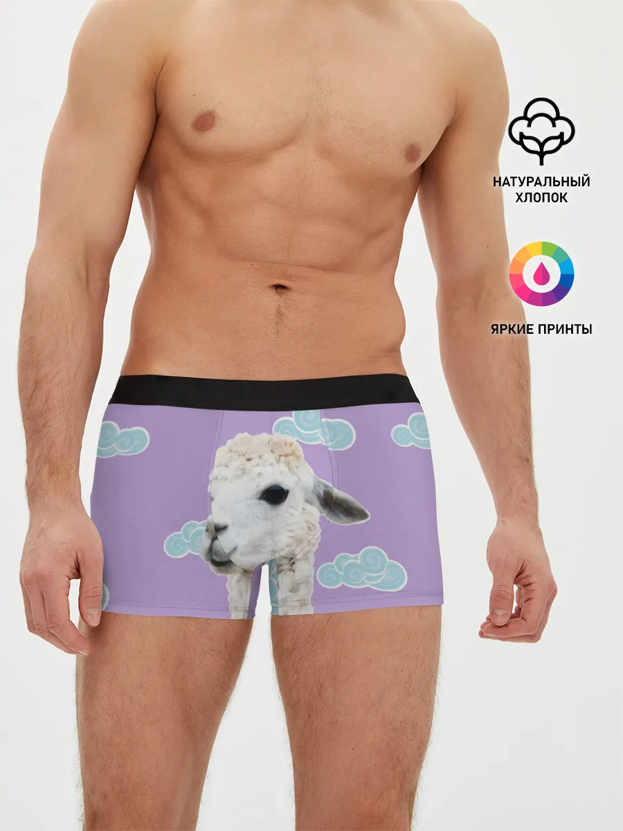 Мужские трусы боксеры / Облачная лама