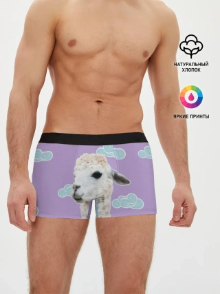 Мужские трусы боксеры / Облачная лама