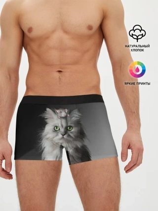 Мужские трусы боксеры / Кот и мышка