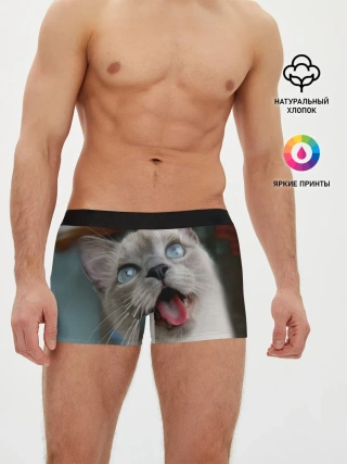 Мужские трусы боксеры / Сиамский котенок