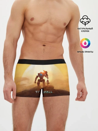 Мужские трусы боксеры / Titanfall