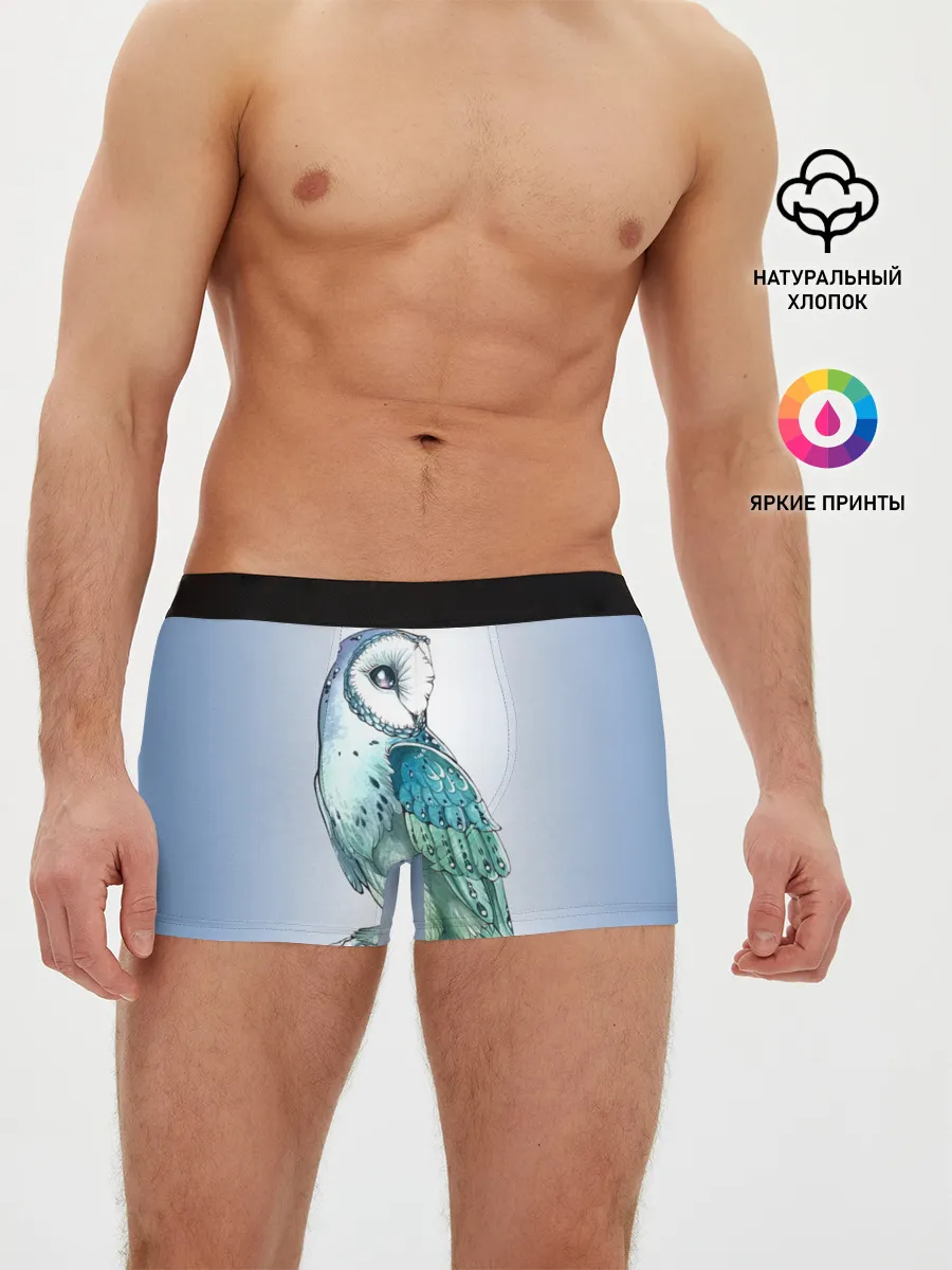 Мужские трусы боксеры / сова