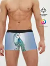 Мужские трусы боксеры / сова