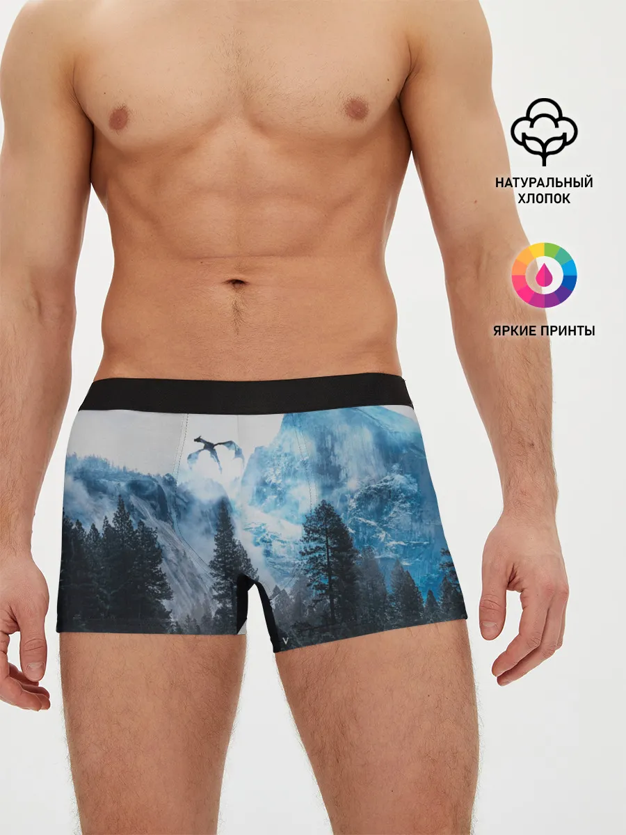 Мужские трусы боксеры / Skyrim