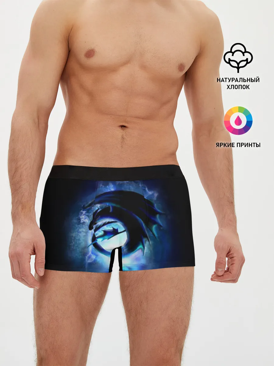 Мужские трусы боксеры / Night Fury