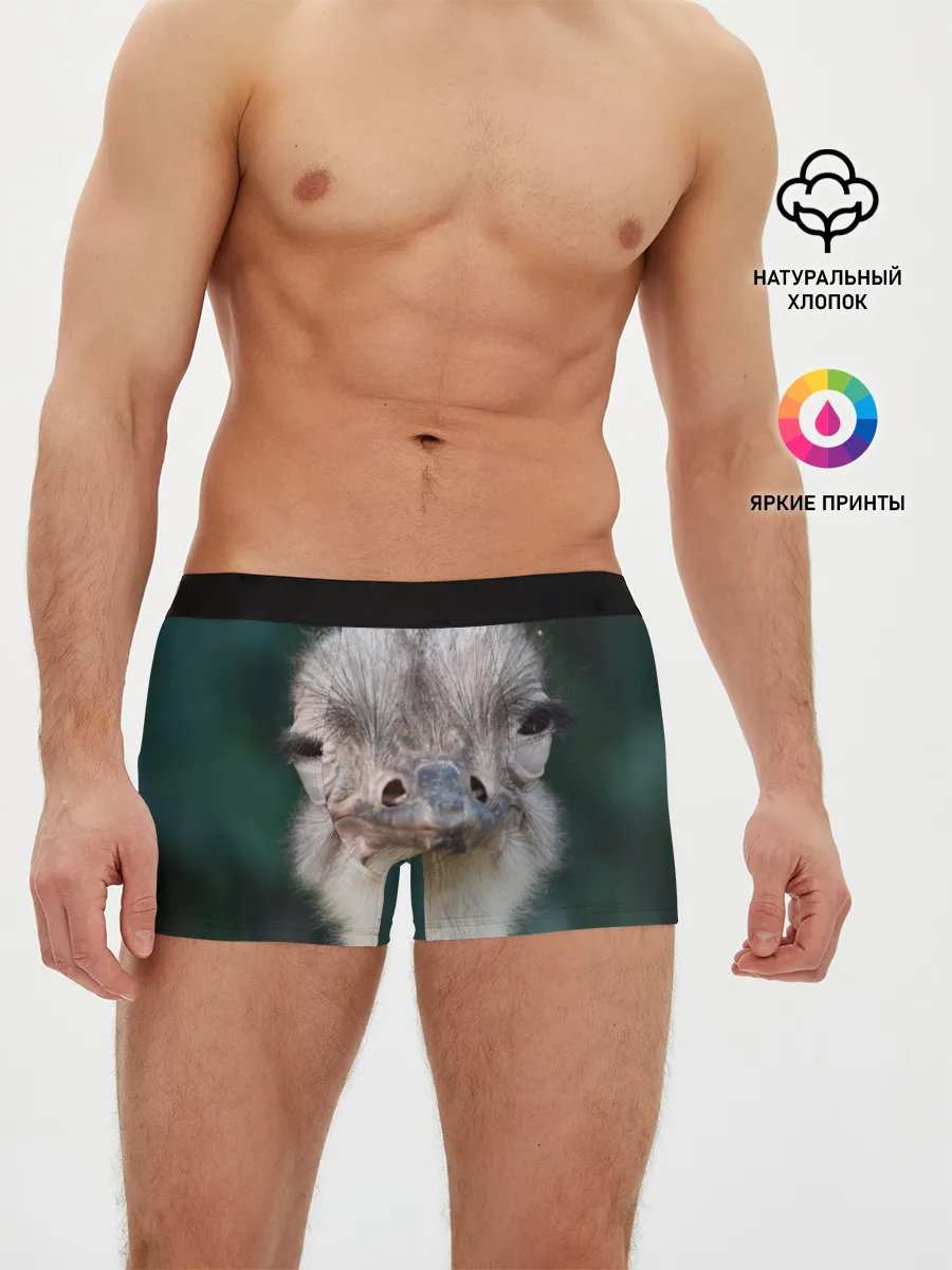Мужские трусы боксеры / Подозрительный страус