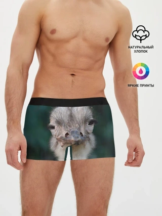 Мужские трусы боксеры / Подозрительный страус