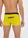 Мужские трусы боксеры / The Prodigy