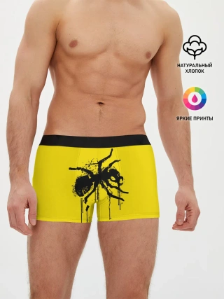 Мужские трусы боксеры / The Prodigy