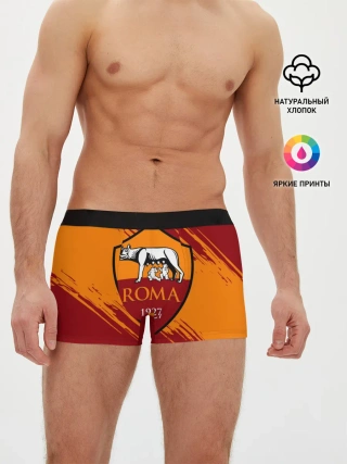 Мужские трусы боксеры / Рома