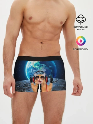Мужские трусы боксеры / Кот на луне