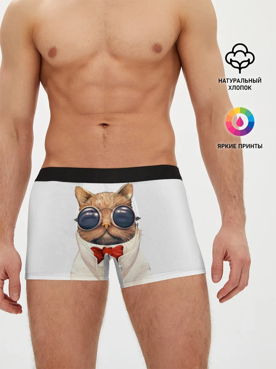 Мужские трусы боксеры / Кот