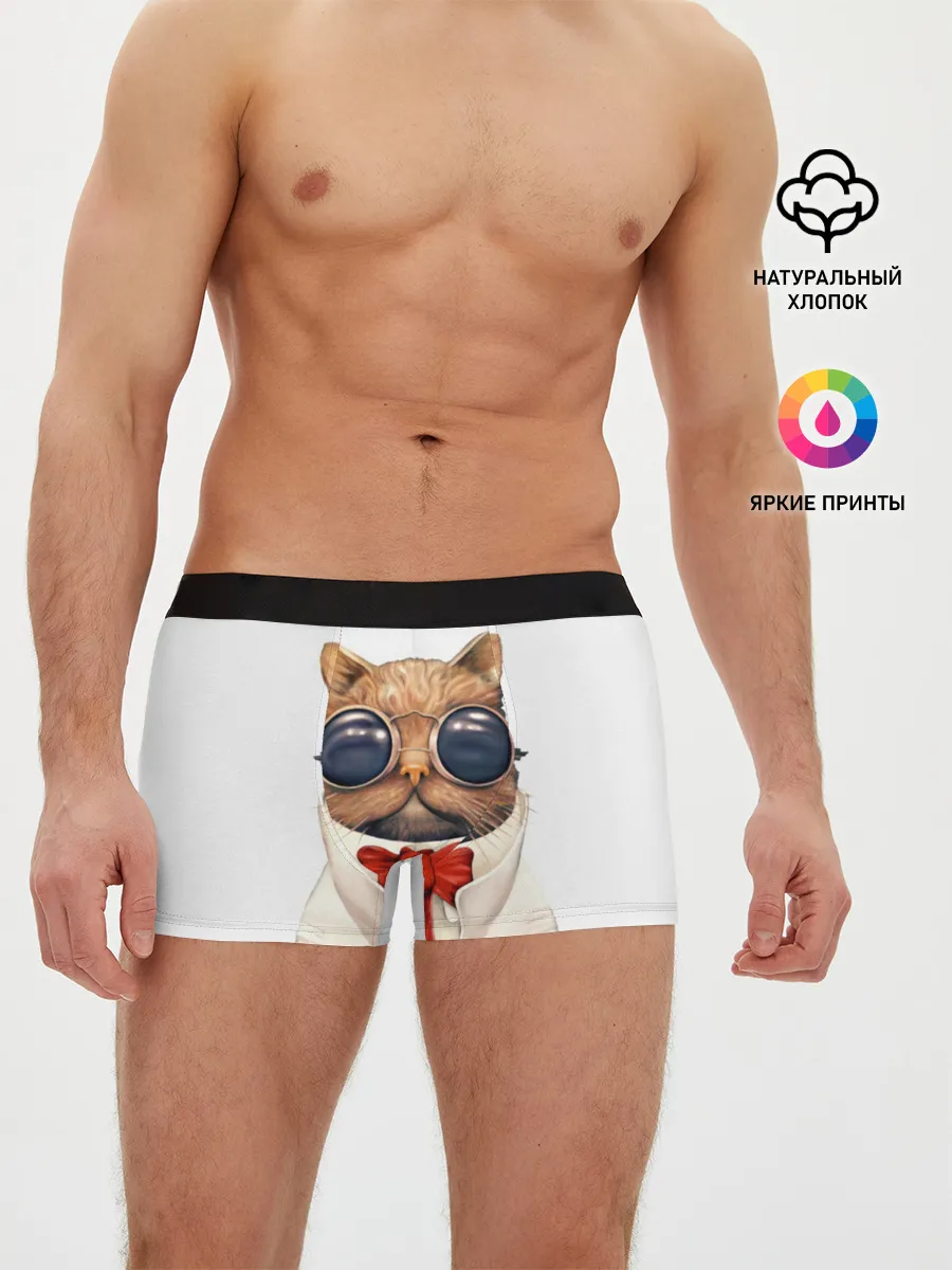 Мужские трусы боксеры / Кот