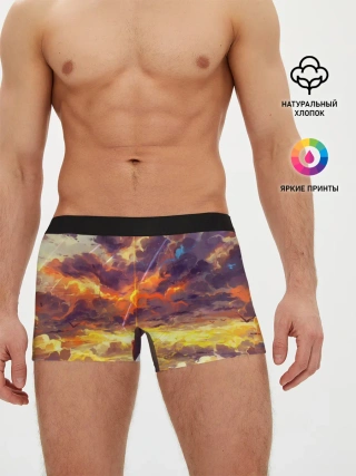 Мужские трусы боксеры / The End