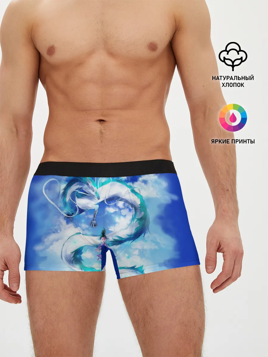 Мужские трусы боксеры / Унесенные призраками_7