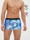 Мужские трусы боксеры / Унесенные призраками_7