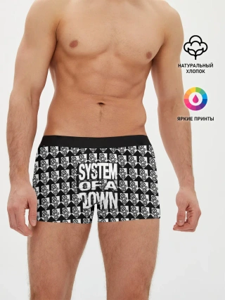 Мужские трусы боксеры / System of a Down
