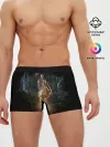 Мужские трусы боксеры / Dark Souls