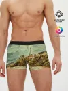Мужские трусы боксеры / Старинный город