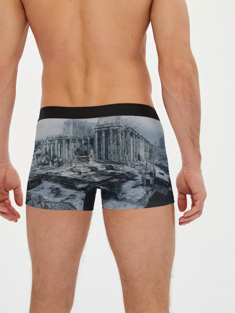 Мужские трусы боксеры / METRO Last Light