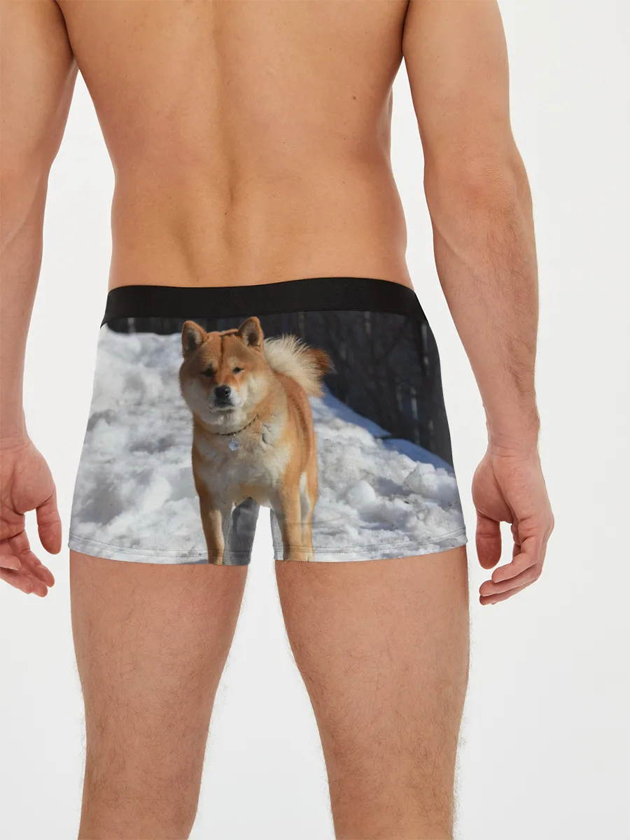 Мужские трусы боксеры / Акита-ину