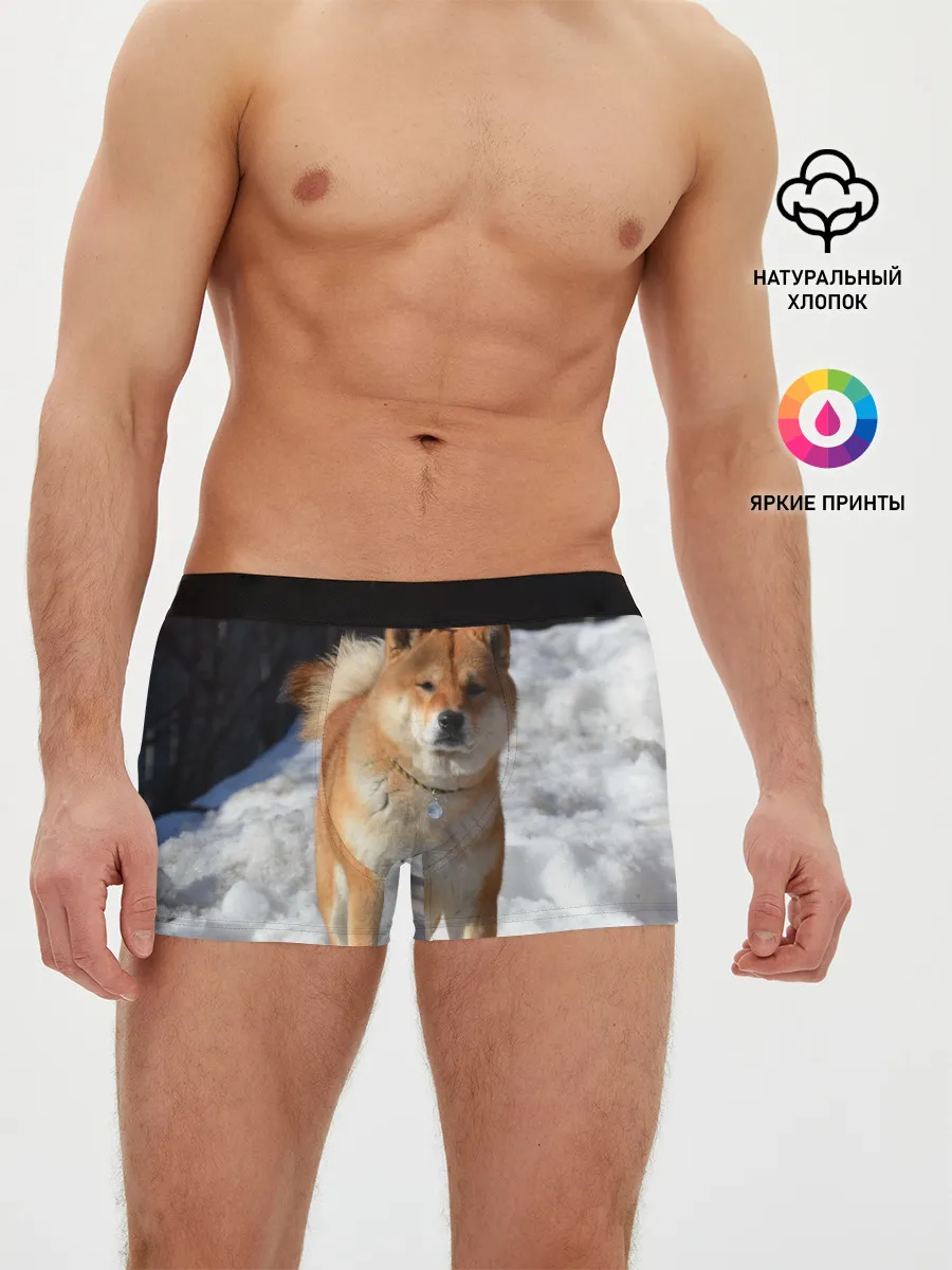 Мужские трусы боксеры / Акита-ину
