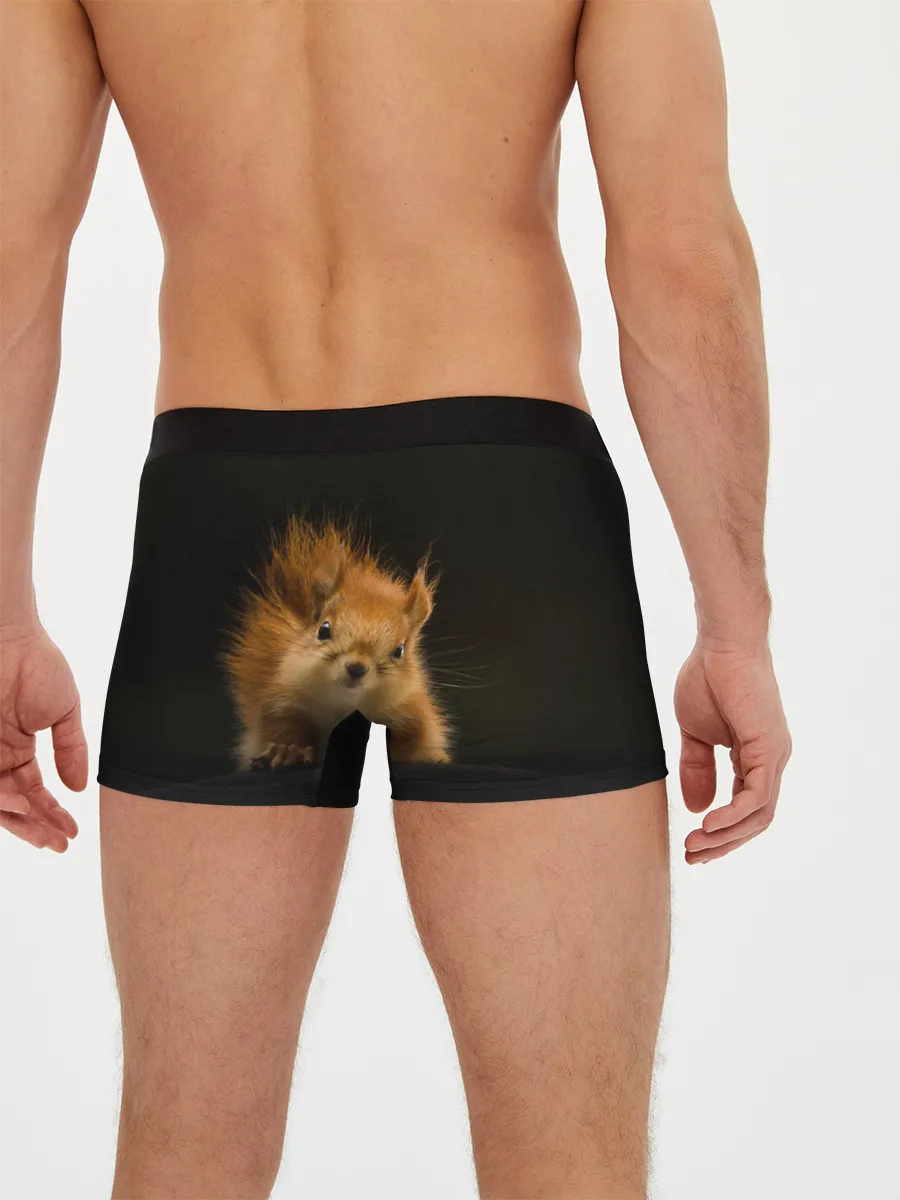 Мужские трусы боксеры / Белочка