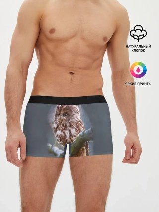 Мужские трусы боксеры / Сова