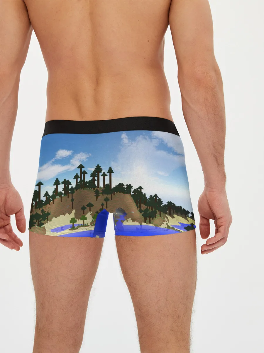 Мужские трусы боксеры / Стив на Эндер Драконе