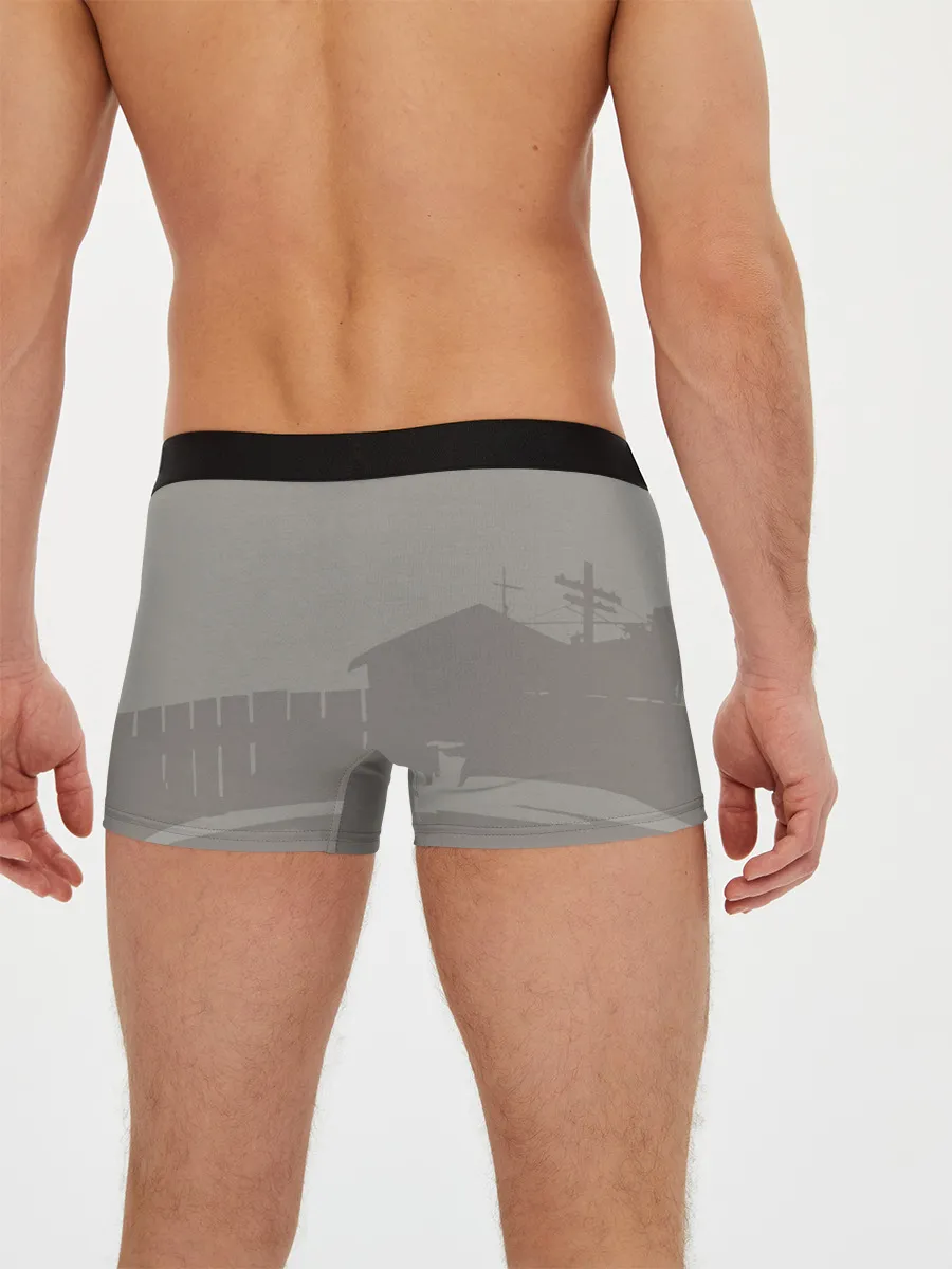 Мужские трусы боксеры / GTA SA - Райдер v2